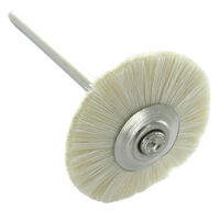 imagem de ESC. ROBINSON DE PELO BRANCO MACIO