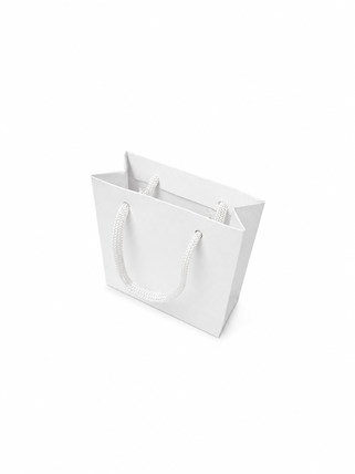 imagem do produto SACOLA LISA 10X10X4CM BRANCA (10 PCS)